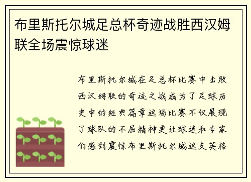布里斯托尔城足总杯奇迹战胜西汉姆联全场震惊球迷
